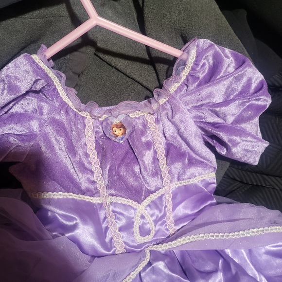 Disney Store Authentic Sofia The First Girls Size 2 Costume - Picture 5 of 7